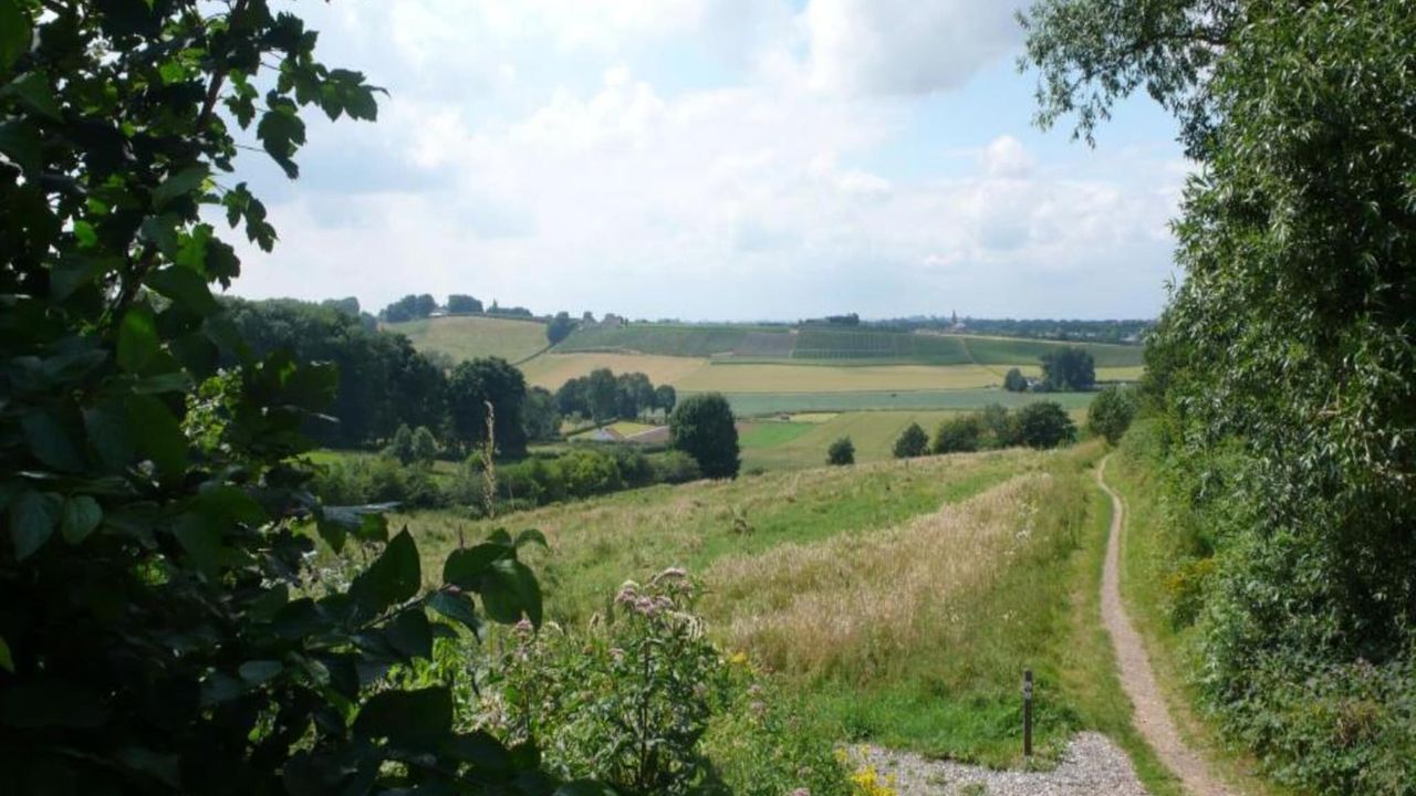 AreaSummer5KM AreaSummer5KM